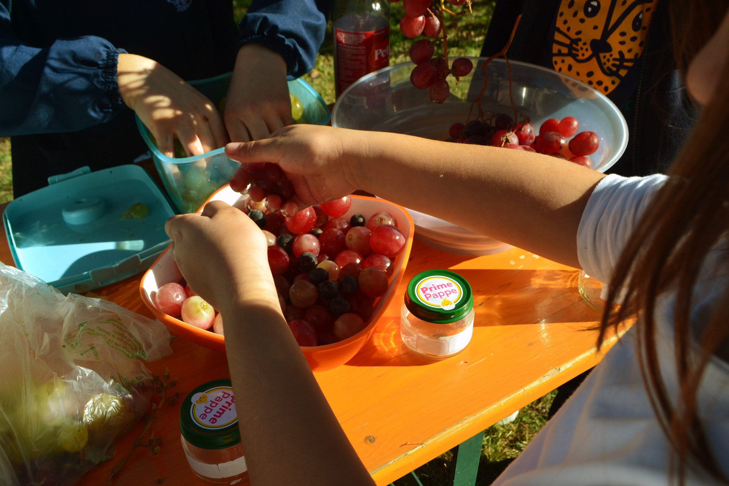 Home Istituto San Gabriele